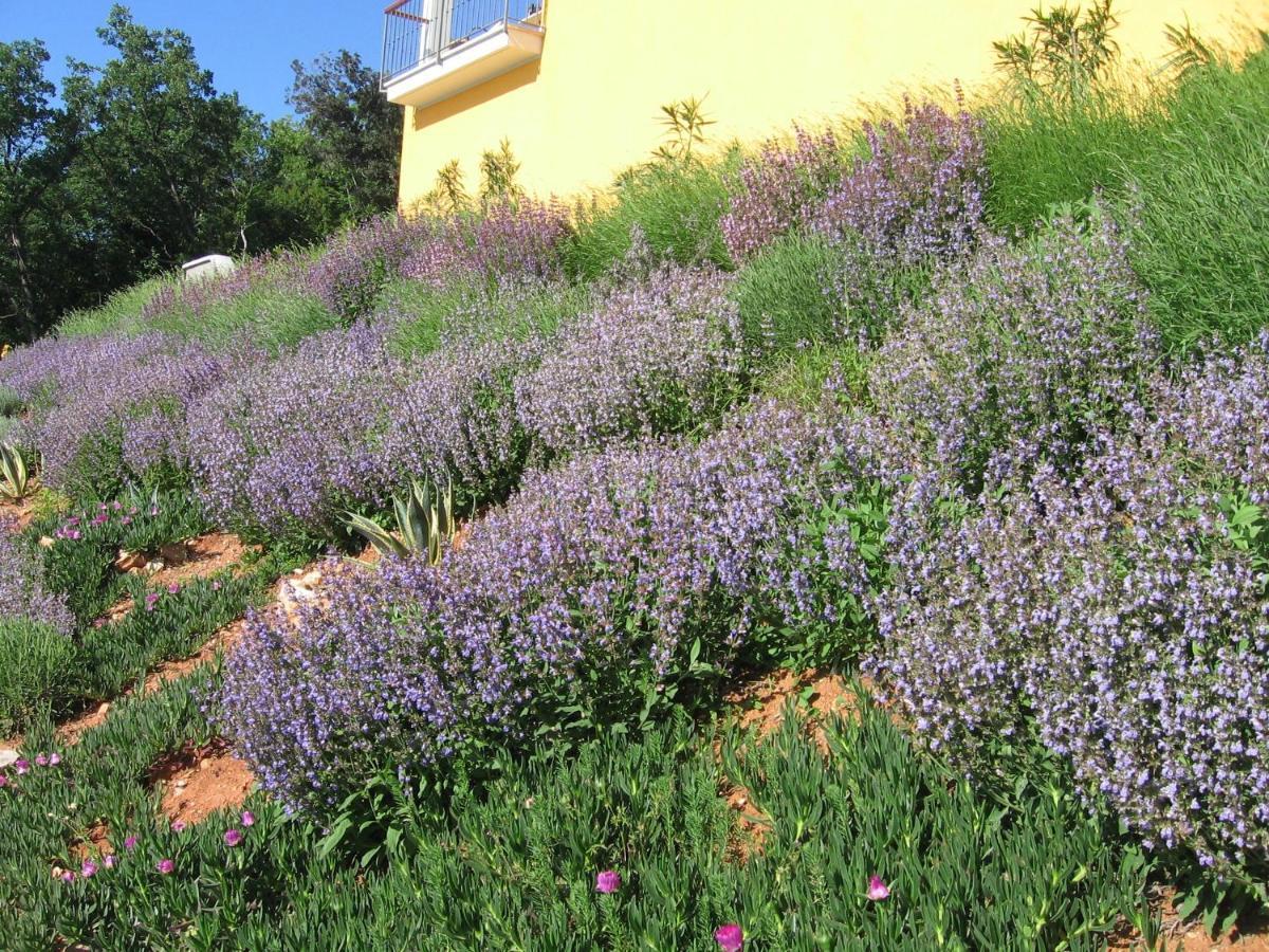 Villa Katarina Mošćenička Draga Exteriér fotografie